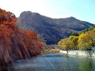 澳门二四六天天彩图库，神墓后传